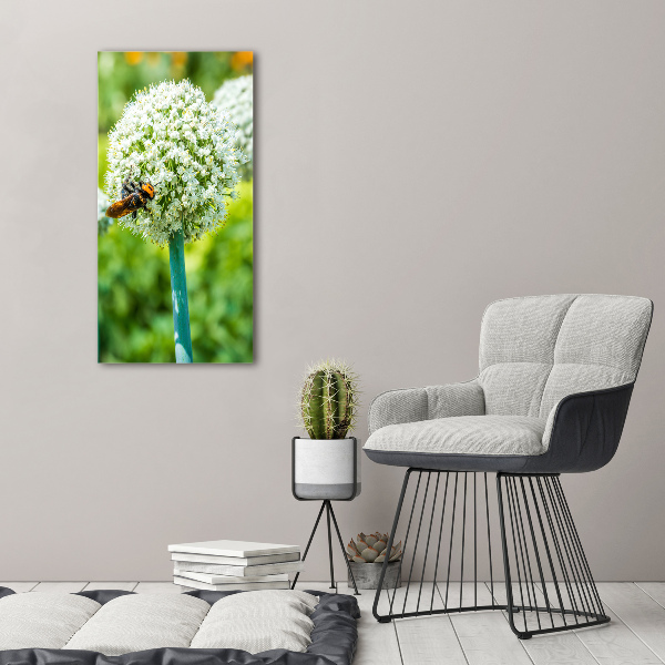 Staand plexiglas foto Knoflookbloemen