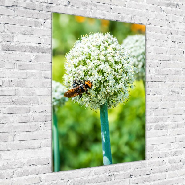 Staand plexiglas foto Knoflookbloemen