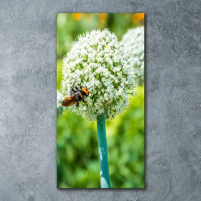 Staand plexiglas foto Knoflookbloemen