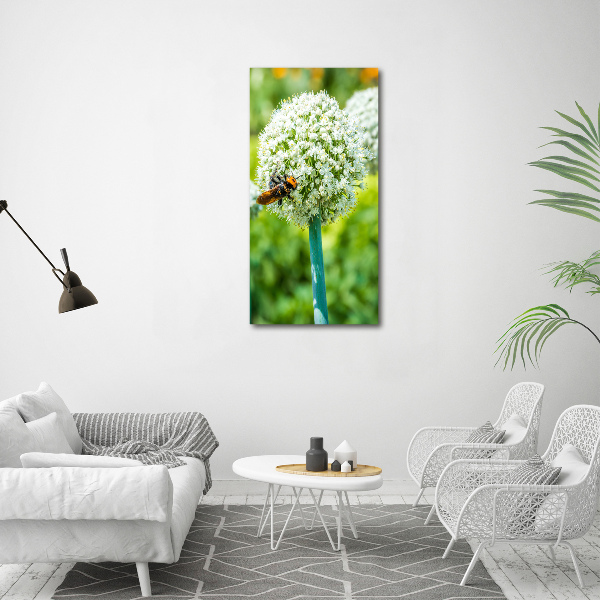 Staand plexiglas foto Knoflookbloemen