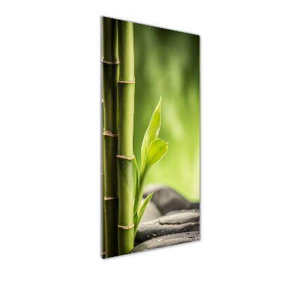 Staand foto in plexiglas Bamboe