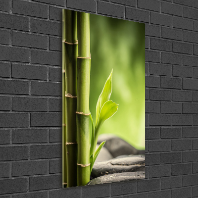 Staand foto in plexiglas Bamboe