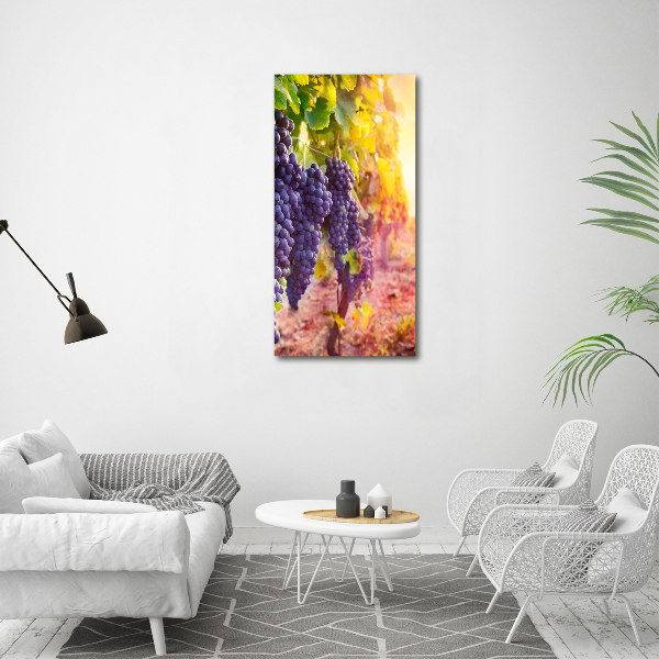 Staand plexiglas foto Wijngaard