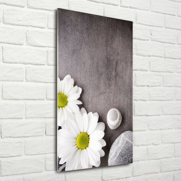 Staand foto op plexiglas Gerbera