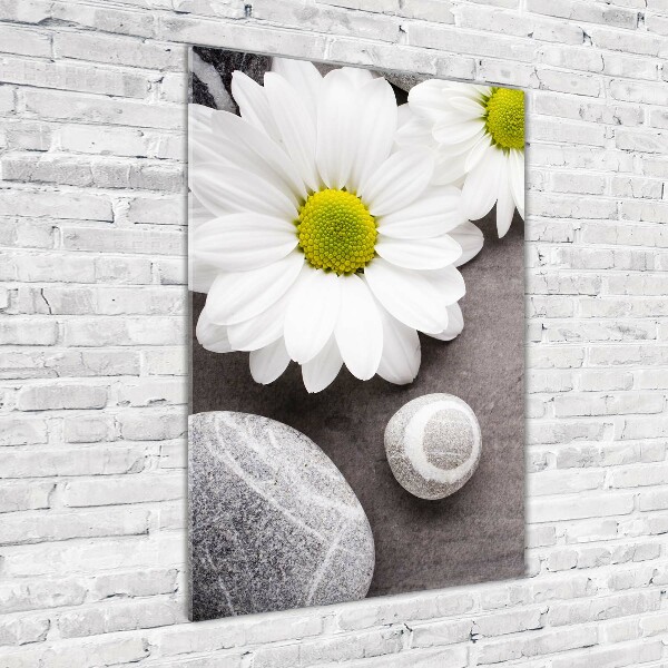 Staand foto op plexiglas Gerbera