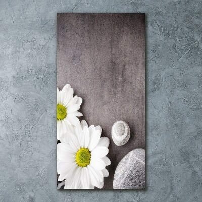 Staand foto op plexiglas Gerbera