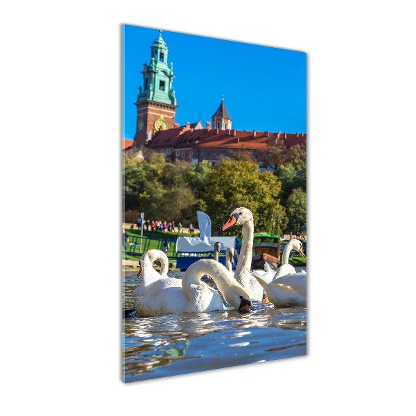 Staand foto in plexiglas Krakau, Polen