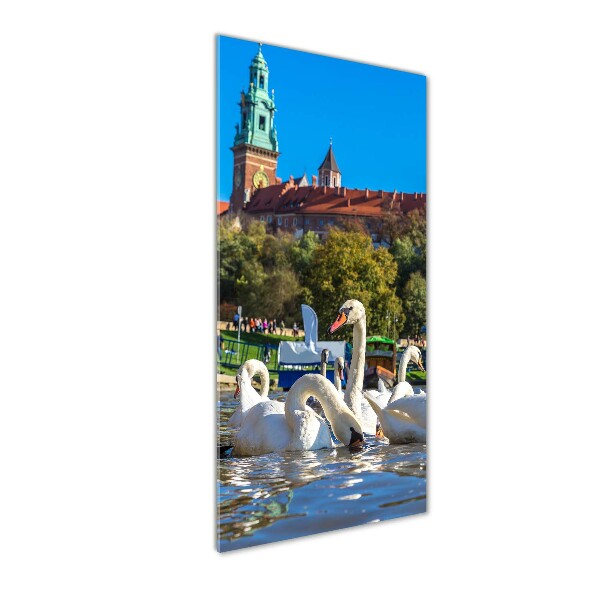 Staand foto in plexiglas Krakau, Polen