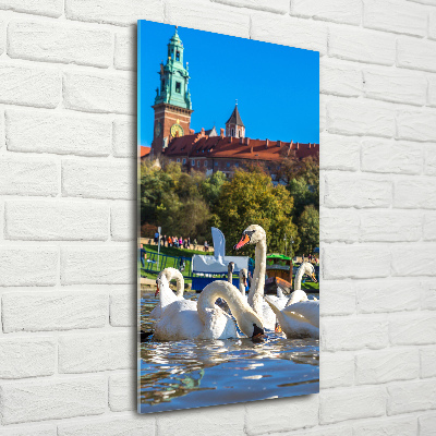 Staand foto in plexiglas Krakau, Polen