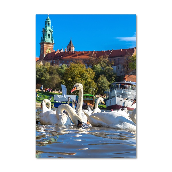 Staand foto in plexiglas Krakau, Polen