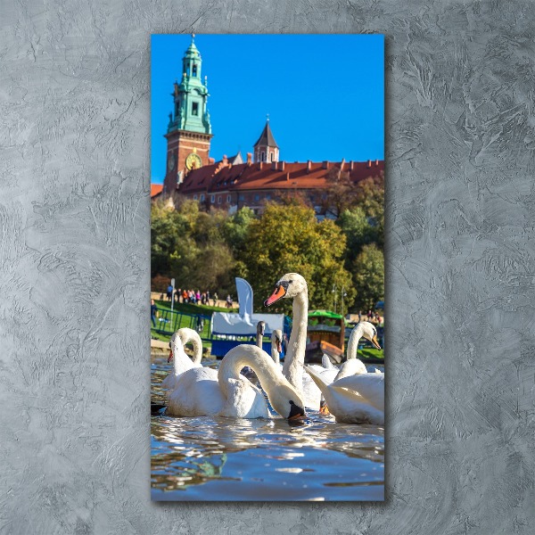 Staand foto in plexiglas Krakau, Polen