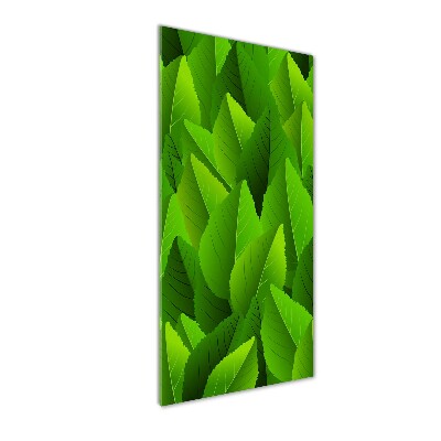 Staand foto in plexiglas Groene bladeren