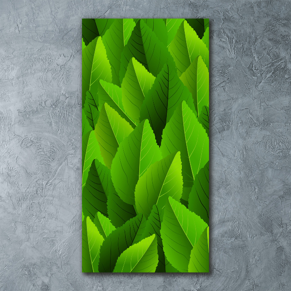 Staand foto in plexiglas Groene bladeren