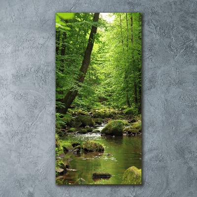 Staand foto in plexiglas Rivier in het bos