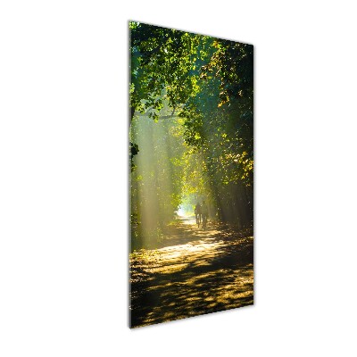 Staand plexiglas foto Pad in het bos