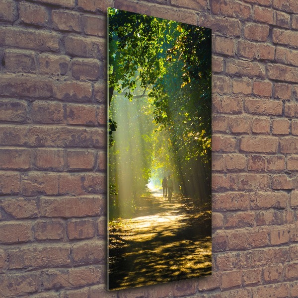 Staand plexiglas foto Pad in het bos