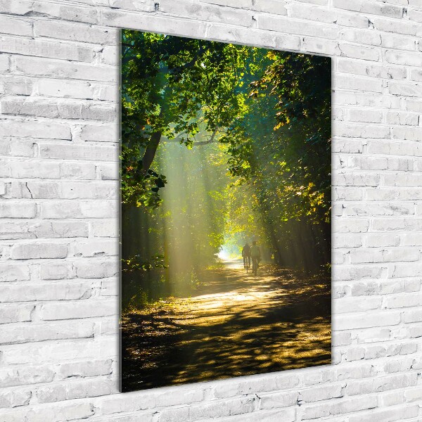 Staand plexiglas foto Pad in het bos