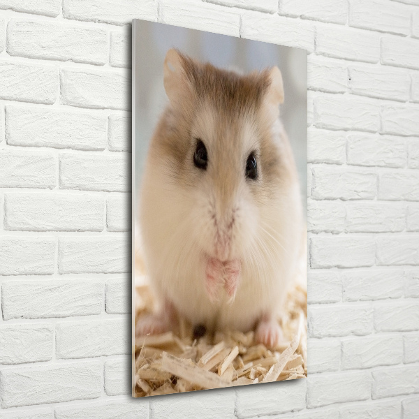Staand foto in plexiglas Hamster