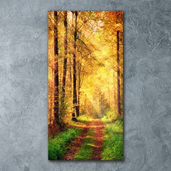 Staand foto op plexiglas Bos in de herfst