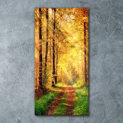 Staand foto op plexiglas Bos in de herfst