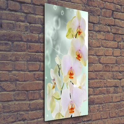 Staand foto plexiglas Orchidee