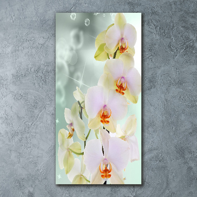 Staand foto plexiglas Orchidee