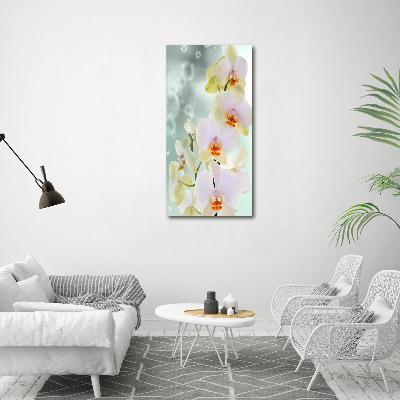 Staand foto plexiglas Orchidee