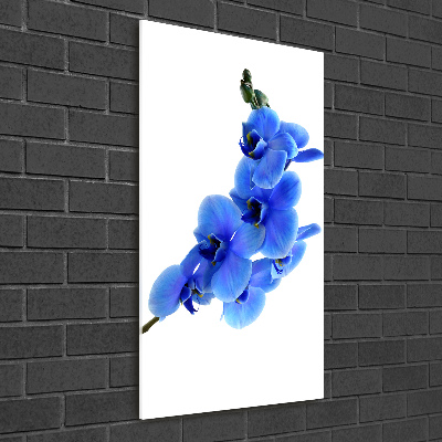 Staand foto in plexiglas Blauwe orchidee