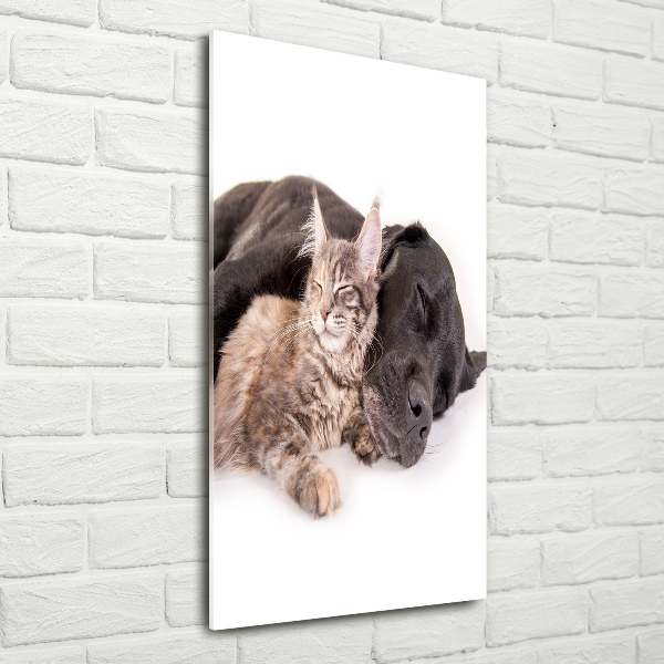 Staand foto in plexiglas Hond en kat