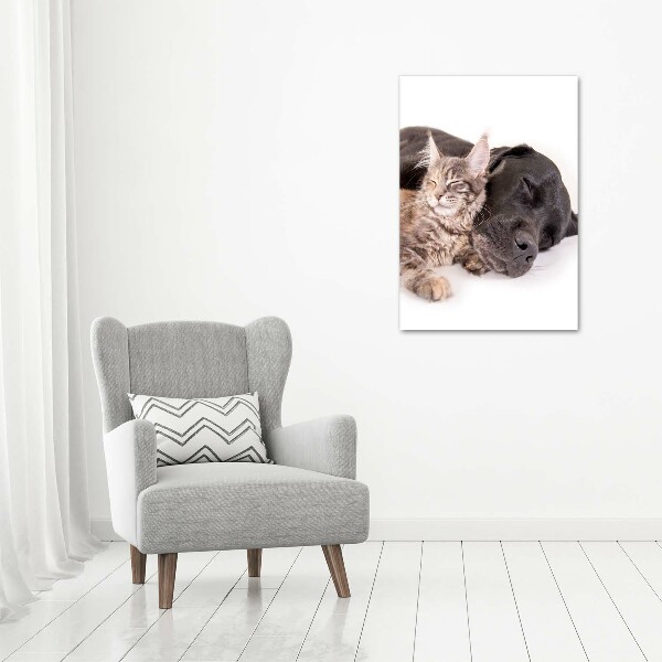 Staand foto in plexiglas Hond en kat