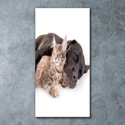 Staand foto in plexiglas Hond en kat