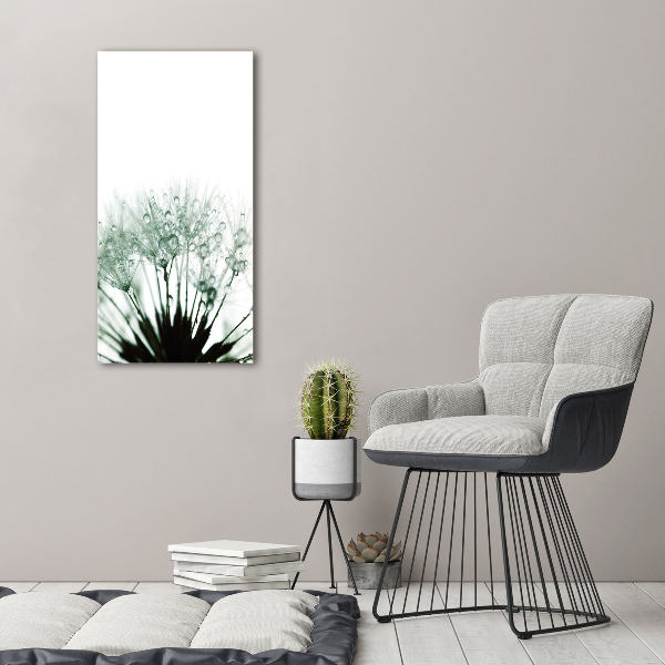 Staand foto op plexiglas Paardenbloemzaden