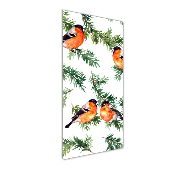 Staand foto op plexiglas Roodborstje en naaldbomen