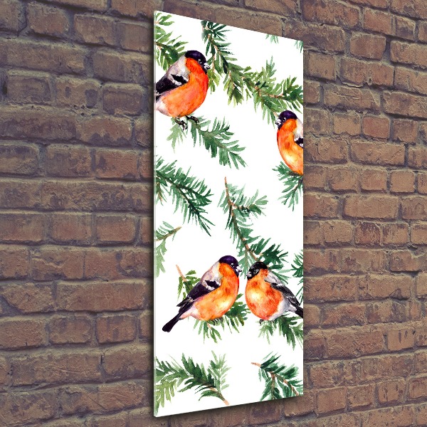 Staand foto op plexiglas Roodborstje en naaldbomen