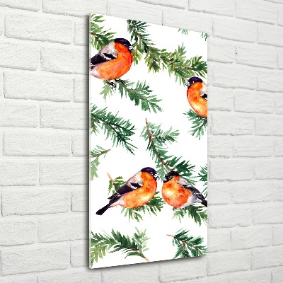 Staand foto op plexiglas Roodborstje en naaldbomen