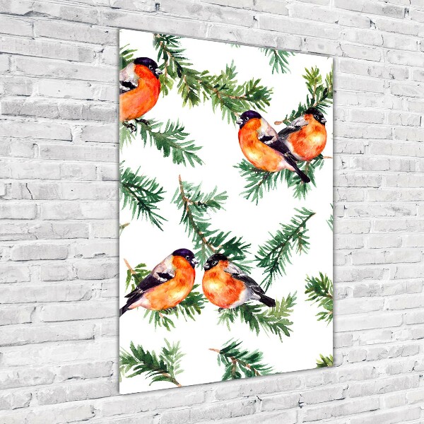 Staand foto op plexiglas Roodborstje en naaldbomen