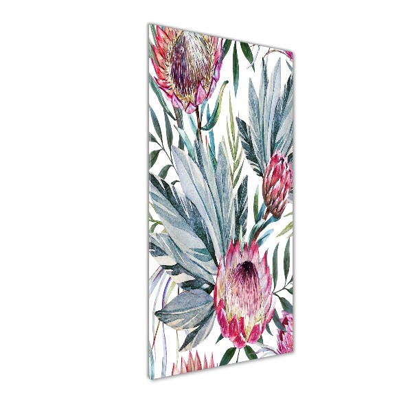 Staand foto op plexiglas Protea