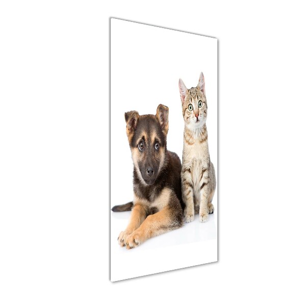 Staand foto in plexiglas Hond en kat