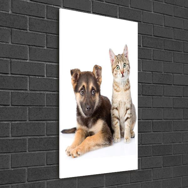 Staand foto in plexiglas Hond en kat