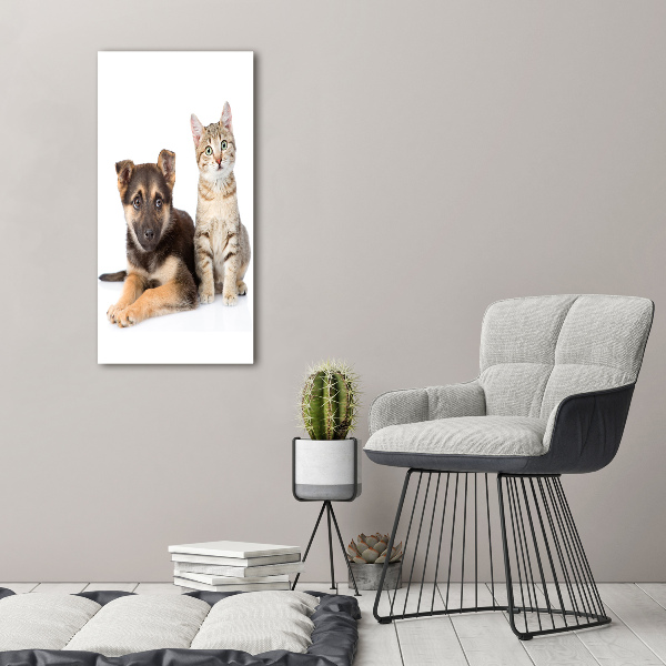 Staand foto in plexiglas Hond en kat