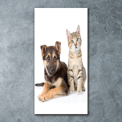 Staand foto in plexiglas Hond en kat