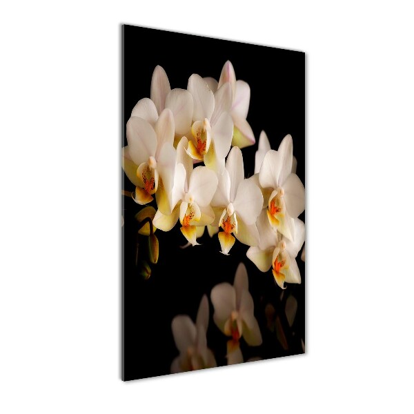 Staand foto op plexiglas Orchidee