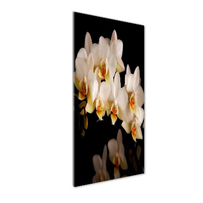 Staand foto op plexiglas Orchidee