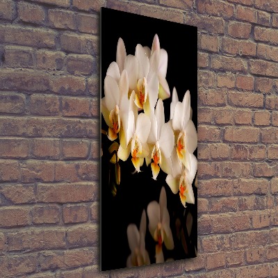 Staand foto op plexiglas Orchidee