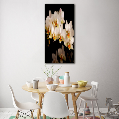 Staand foto op plexiglas Orchidee
