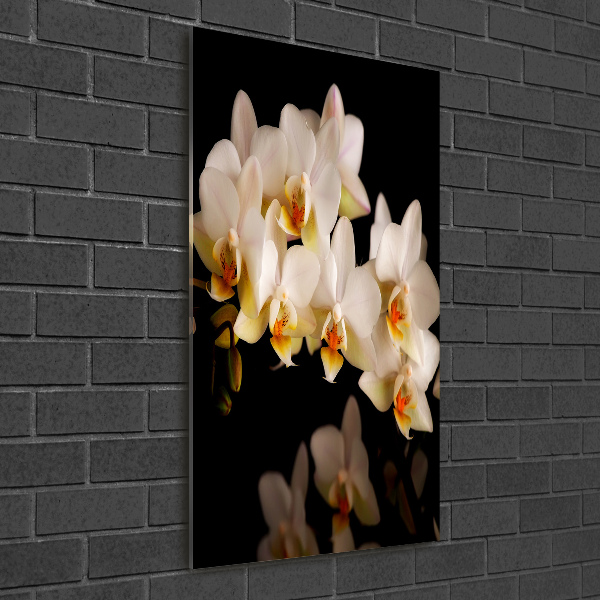 Staand foto op plexiglas Orchidee