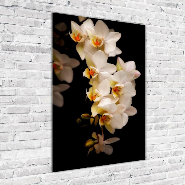 Staand foto op plexiglas Orchidee
