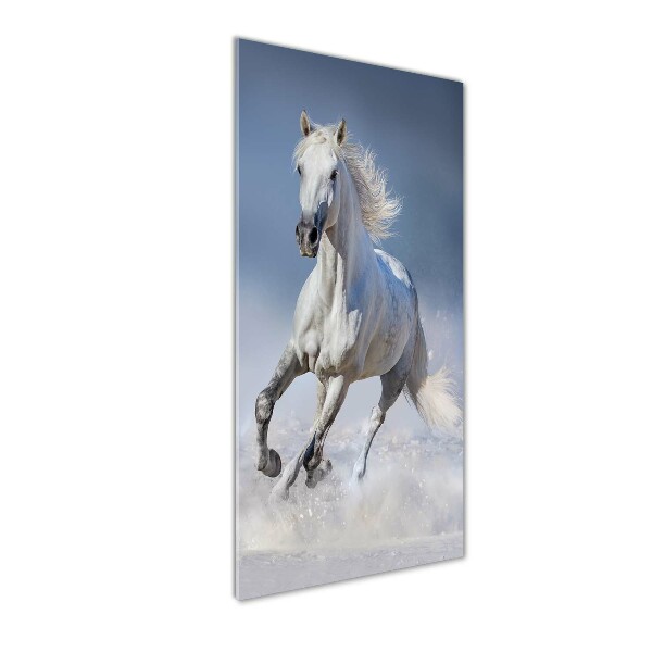 Staand plexiglas foto Een wit paard in galop