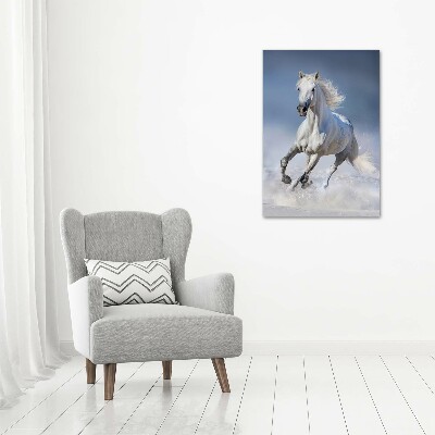 Staand plexiglas foto Een wit paard in galop