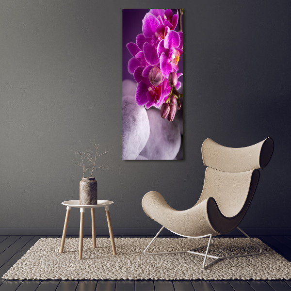 Staand plexiglas foto Roze orchidee